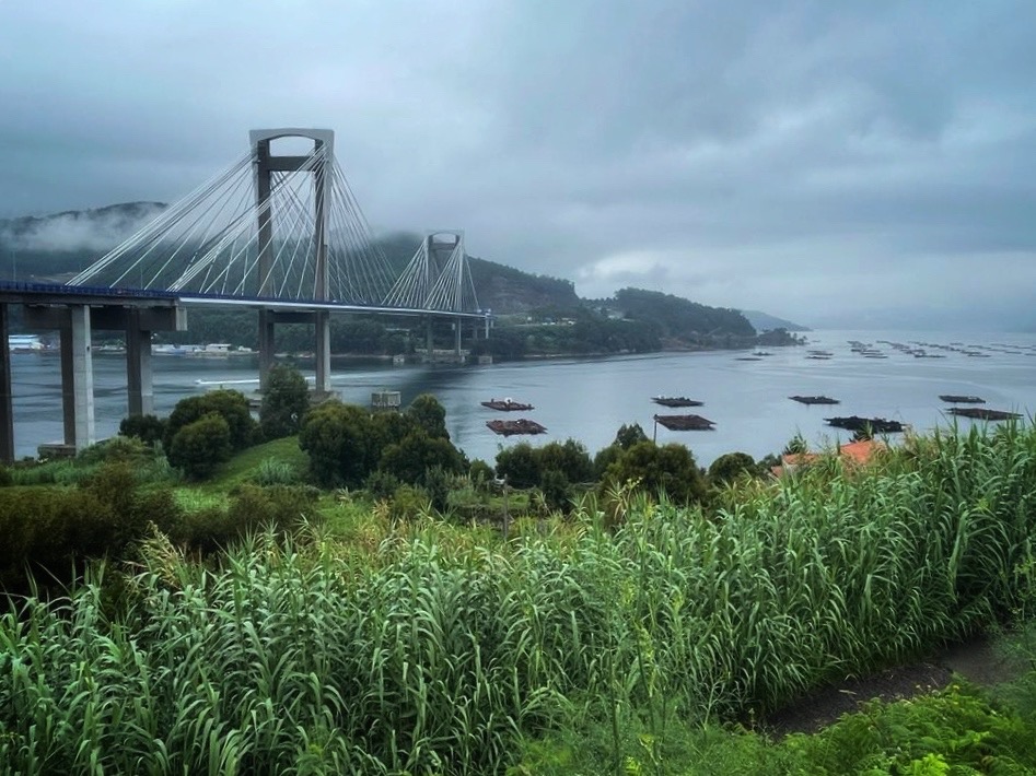 Bridge, Vigo, Camino de Santiago, Camino portuguese, Camino da Costa, Camino Scholars